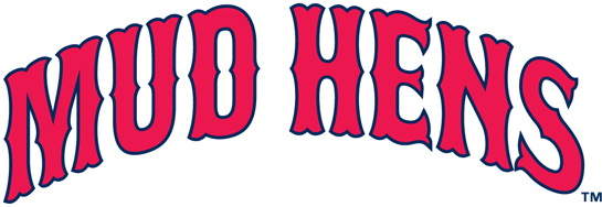 Toledo Mud Hens 19---2005 Wordmark Logo iron on paper